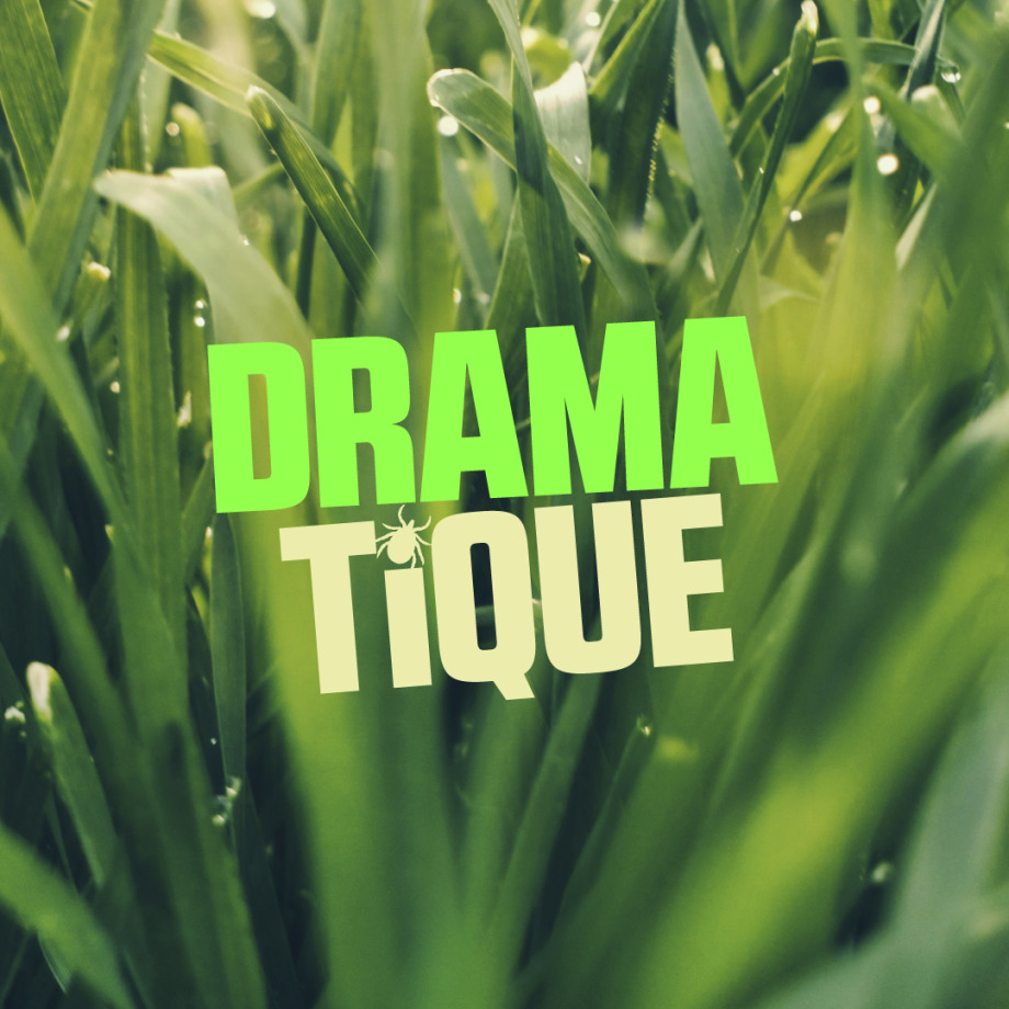 Vérifiez-vous!